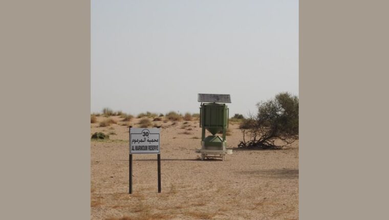 Mghzlan smart wildlife feeder at Al Marmoom Desert Conservation Reserve in Dubai