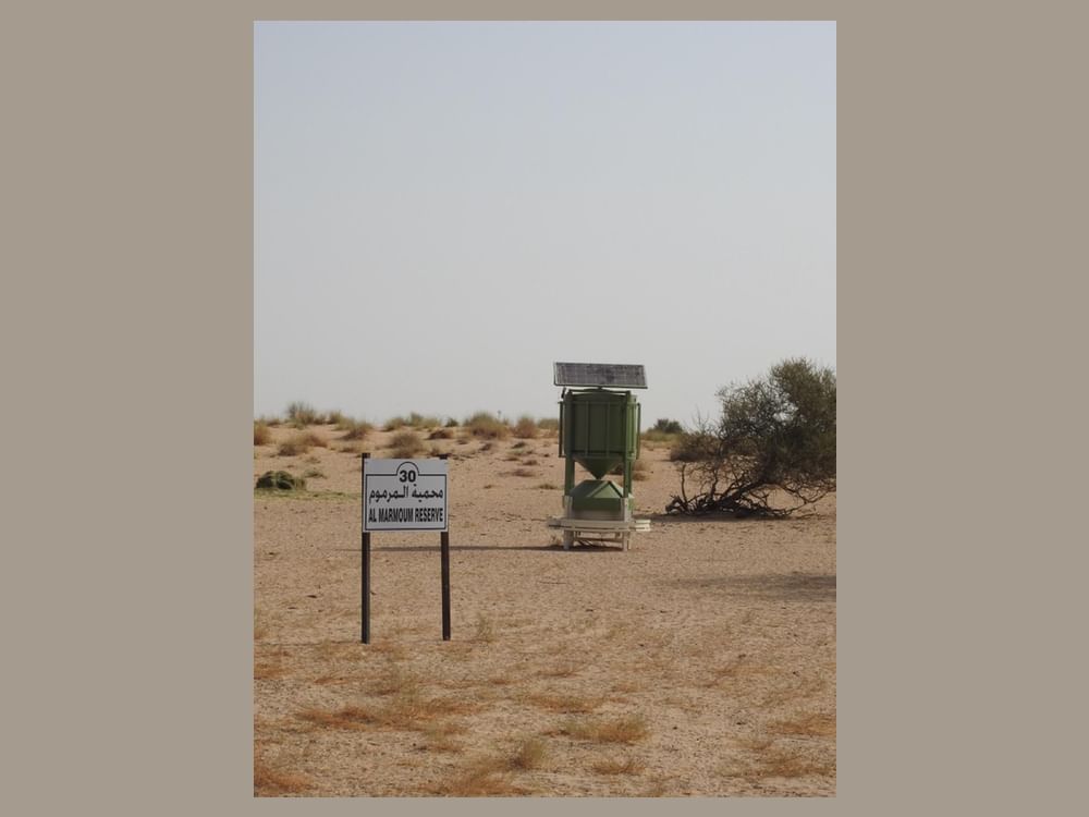 Mghzlan smart wildlife feeder at Al Marmoom Desert Conservation Reserve in Dubai
